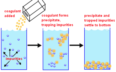 coagulation
